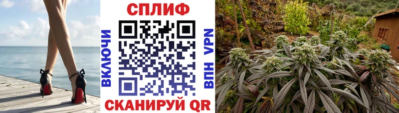 Бошки Шишки конопля  Щигры 